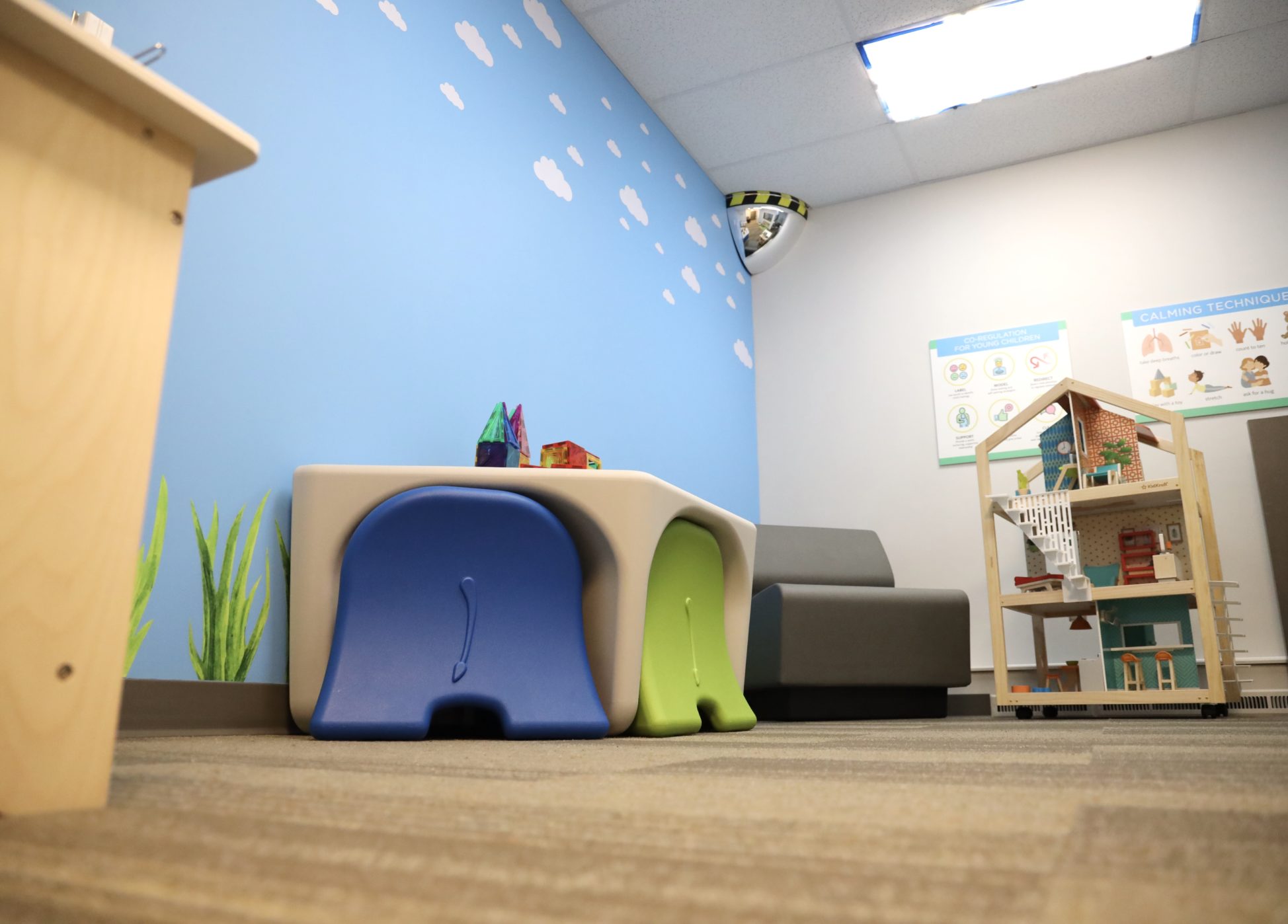 Allegheny Health Network’s Alexis Joy D’Achille Center for Perinatal