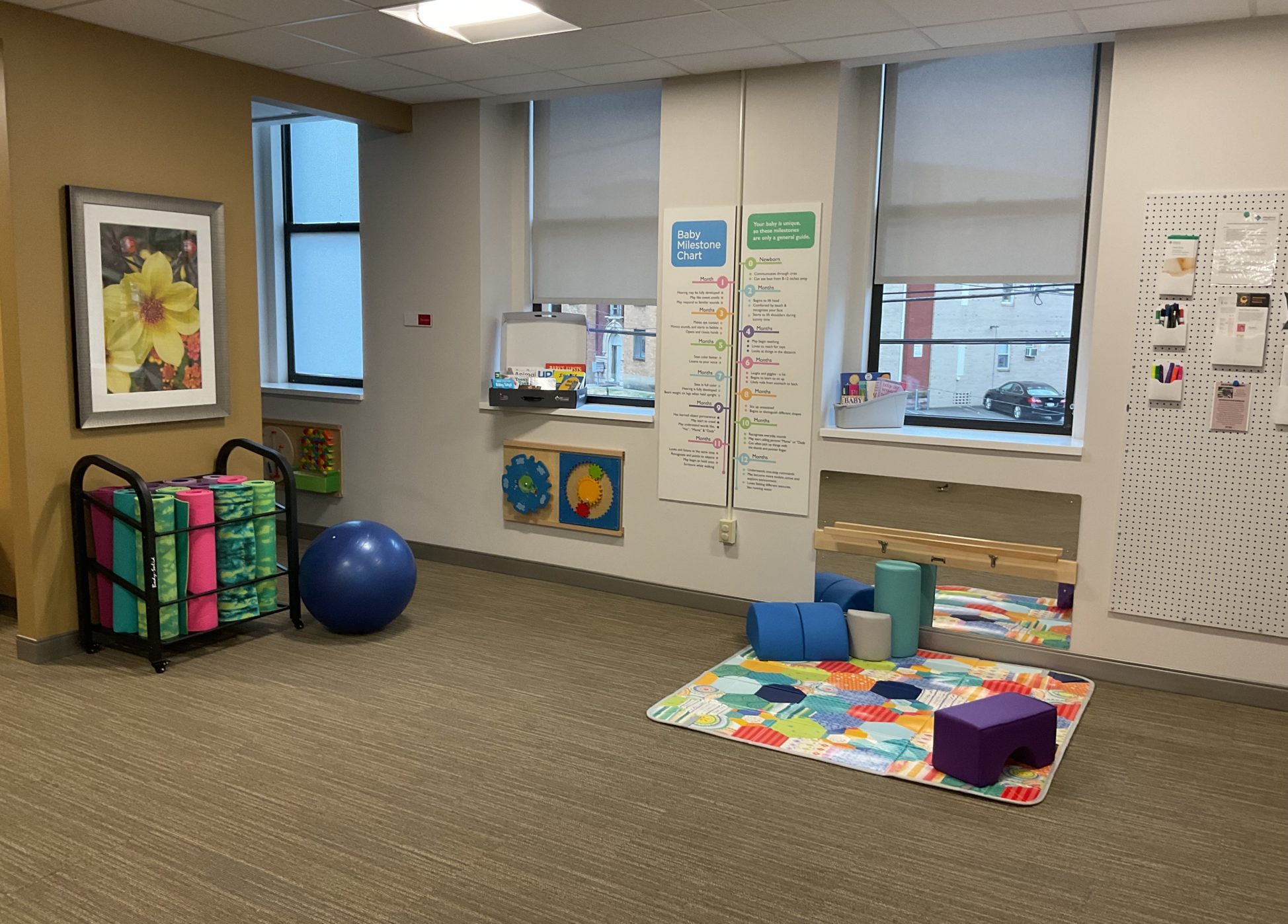 Allegheny Health Network’s Alexis Joy D’Achille Center for Perinatal